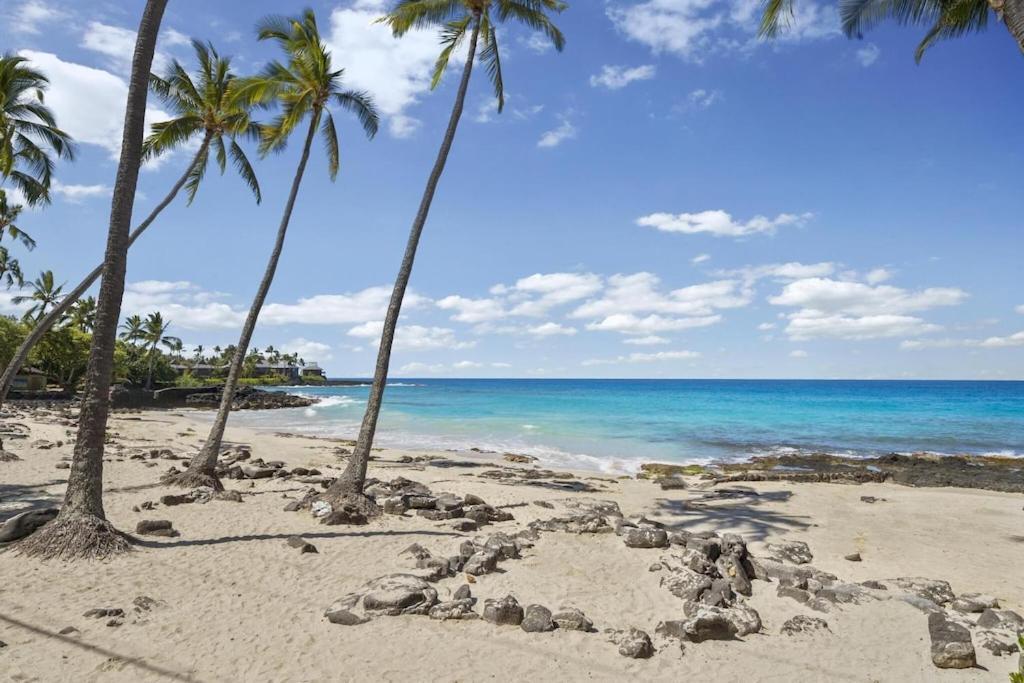 Hawaiian-Style Oceanview Across The Street From Historic Magic Sands Beach Park - White Sands Village 202 Kailua-Kona Eksteriør bilde